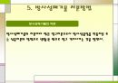 [환경]방사성&방사성폐기물의정의&방사성폐기물의종류&방사성폐기물에 관한 모든것^-^ 15페이지