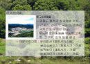 [관광농업]우리나라&관광농업&정의&발전&현황에 관한 발표자료 10페이지