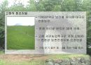 [관광농업]우리나라&관광농업&정의&발전&현황에 관한 발표자료 12페이지