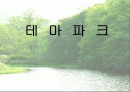 [우리나라테마파크]우리나라&테마파크의 정의&테마파크에 관해 분석한 발표자료 1페이지