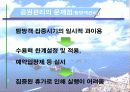 [우리나라공원]공원의 정의&공원의 역사& 공원의 발전과 방향에 관한 발표자료 18페이지
