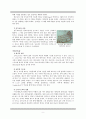 [세계의 5대종교 분석][종교의 다양성]세계의 종교들(분석레포트) 9페이지