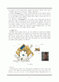 [세계의 5대종교 분석][종교의 다양성]세계의 종교들(분석레포트) 12페이지
