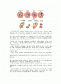 감수분열의 관찰 실험 2페이지