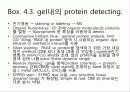 proteomics(단백질체학) 5페이지