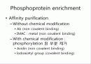 proteomics(단백질체학) 52페이지