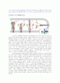Viral membrane fusion 3페이지