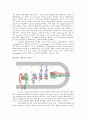 Viral membrane fusion 5페이지