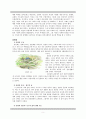 [유럽 봉건사회][봉건사회 경제]서유럽의 봉건사회와 경제, 장원제, 중세 기사도 심층분석 5페이지