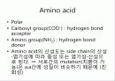 고대 생물정보학 2 써머리 5페이지