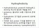 고대 생물정보학 2 써머리 8페이지