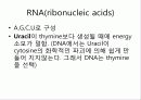 고대 생물정보학 2 써머리 17페이지