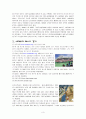 테니스 레포트 3페이지