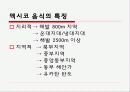 멕시코 음식 5페이지