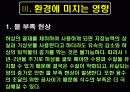 [4대강 복원사업] 4대강사업의 장단점과 환경에 미치는 영향 및 외국의 사례 및 당위성 8페이지