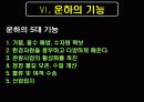 [4대강 복원사업] 4대강사업의 장단점과 환경에 미치는 영향 및 외국의 사례 및 당위성 14페이지
