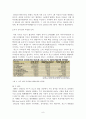 국제법으로 바로본 미국산쇠고기 협정의 무효화가능성 8페이지