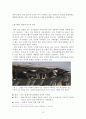 국제법으로 바로본 미국산쇠고기 협정의 무효화가능성 12페이지