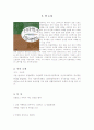 스타벅스 VS 민들레영토를 읽고 요약정리 및 감상문 2페이지