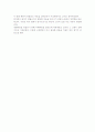 영화 패션오브 크라이스트를 보고 감상문 3페이지