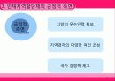 [지방정부론]인재지역할당제 도입과 쟁점 / 대책방안 PPT 19페이지