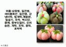 한국의 떡 사업계획서 외국인에게 떡 사업을.. 15페이지