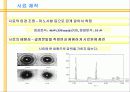 XRD(X-Ray) 11페이지