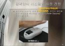생체인식 시스템 20페이지