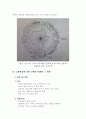 인간의 발육 발달 및 노화 11페이지