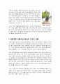 [자전거교통]자전거 이용의 문제점 및 활성화 방안, 자전거 이용의 필요성과 효과 및 선진국의 자전거이용 사례, 환경친화적 교통수단 자전거의 모든 것 2페이지