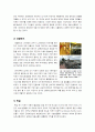 [자전거교통]자전거 이용의 문제점 및 활성화 방안, 자전거 이용의 필요성과 효과 및 선진국의 자전거이용 사례, 환경친화적 교통수단 자전거의 모든 것 9페이지