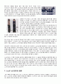 스노우보드 레포트 2페이지