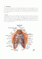 lobectomy 2페이지