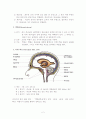 V Pshunt Anatomy Physiology Pathology 2페이지