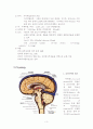 V Pshunt Anatomy Physiology Pathology 3페이지