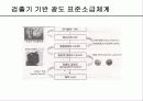 LED 측정시술 11페이지