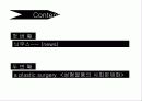 성형열풍의 사회문제화 3페이지