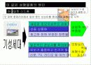 성형열풍의 사회문제화 12페이지