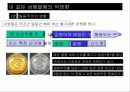 성형열풍의 사회문제화 20페이지