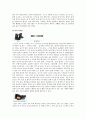 스키레포트 28페이지