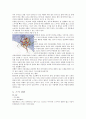 스키레포트 36페이지