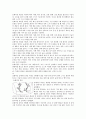 스키레포트 68페이지