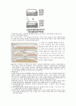 DNA와 세포주기 6페이지