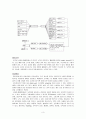 신생아 패혈증(Neonatal Sepsis) 3페이지