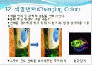 트리즈(기본개념및 발명의40가지원리) 39페이지