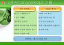 AIDS 에 관한 완벽한 레포트 5페이지