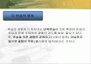 교육심리) 행동주의 손다이크,스키너,반두라 이론 9페이지