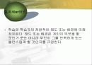 교육심리) 행동주의 손다이크,스키너,반두라 이론 14페이지