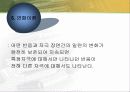 교육심리) 행동주의 손다이크,스키너,반두라 이론 17페이지