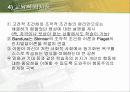 교육심리) 행동주의 손다이크,스키너,반두라 이론 48페이지